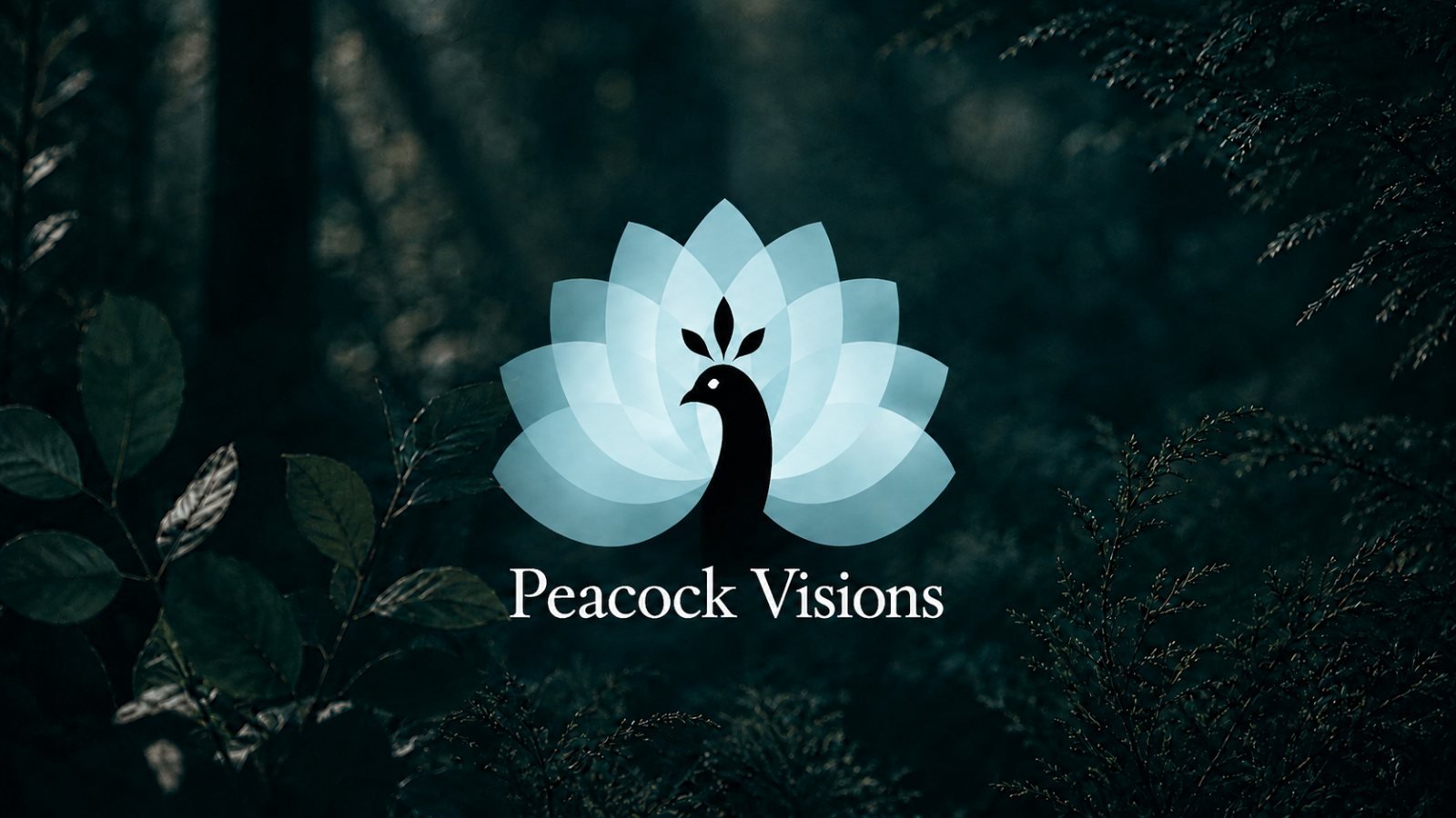 Peacock Visions brand identity, logo lockup